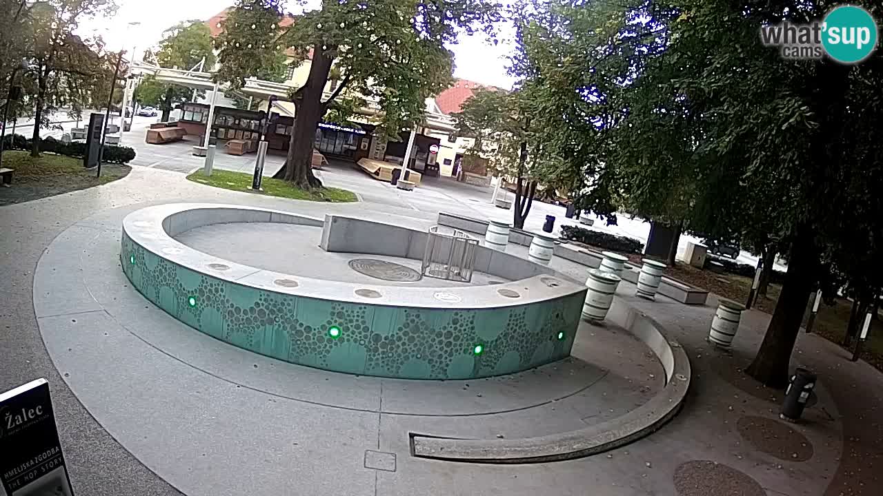 Spletna kamera Fontana Piv – Zeleno zlato Žalec