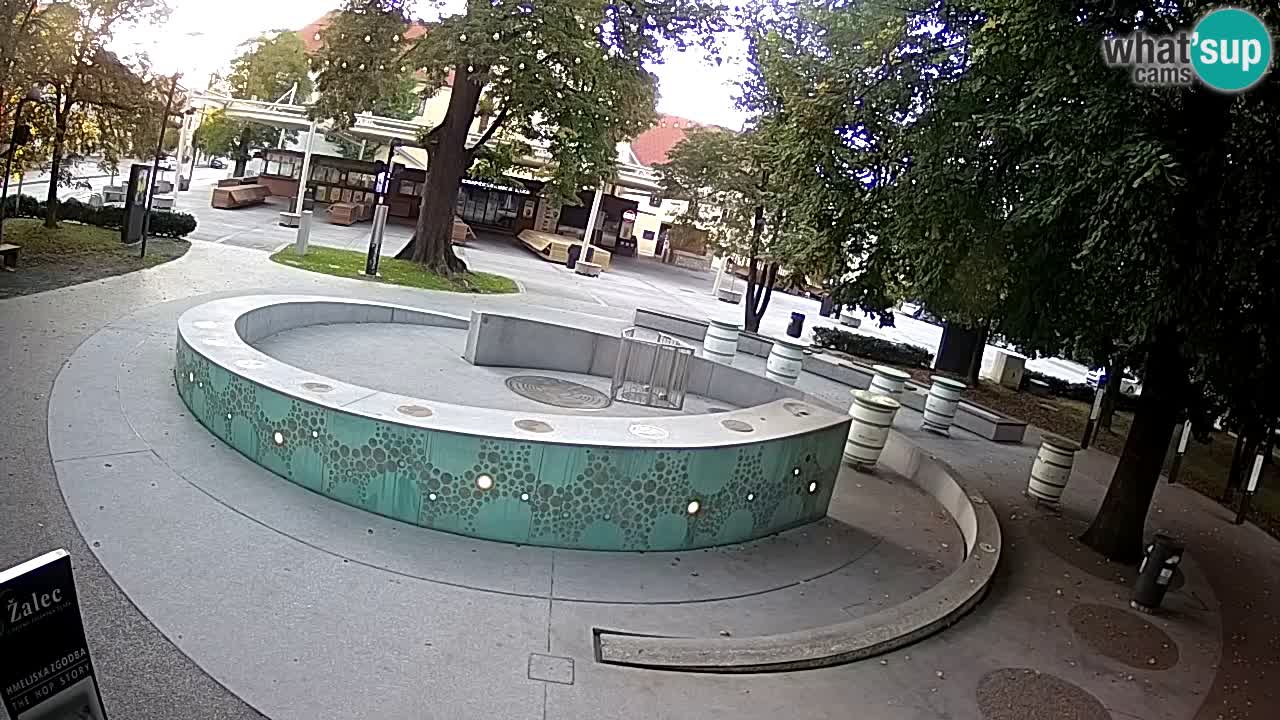 Fontaine à bière LIVE webcam – Or vert – Žalec