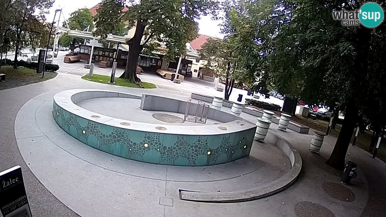 Fontana di birra Webcam – Oro verde – Žalec