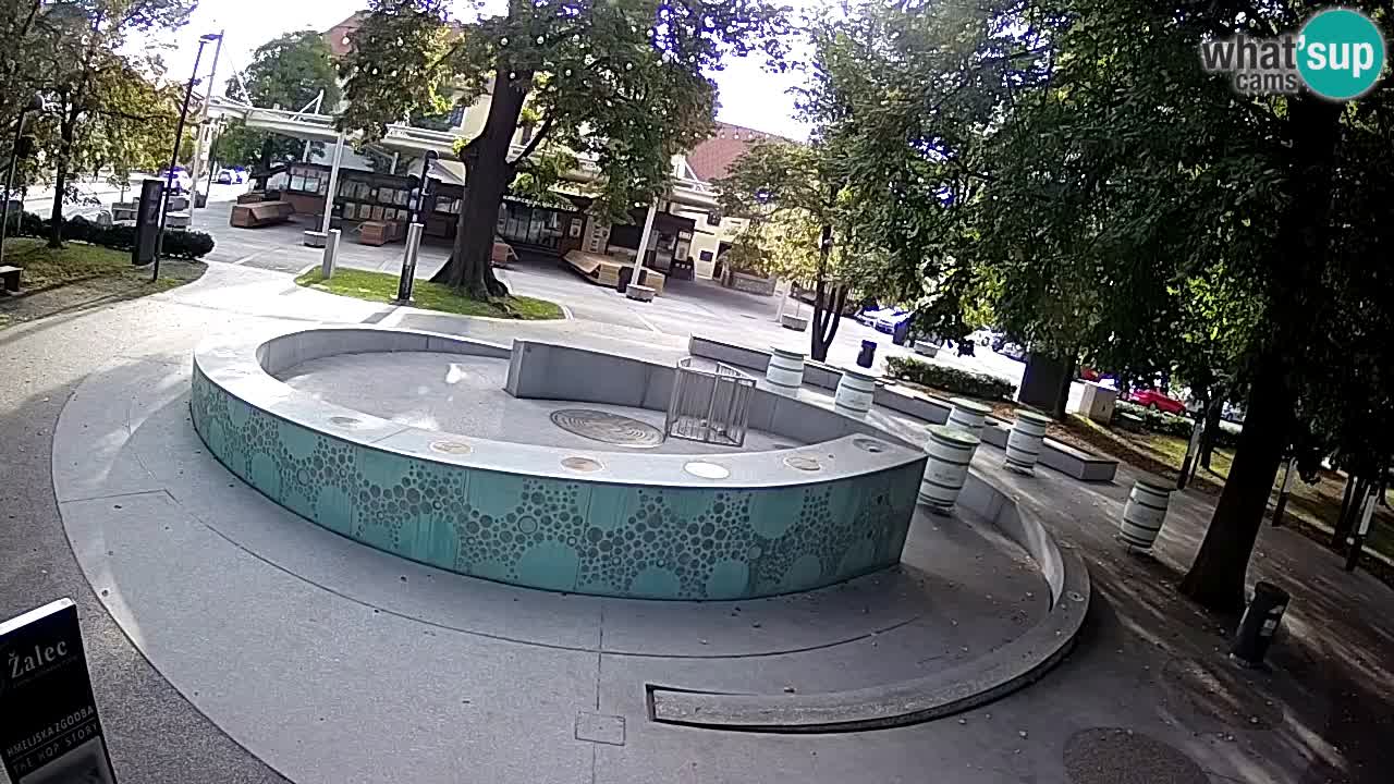 Spletna kamera Fontana Piv – Zeleno zlato Žalec