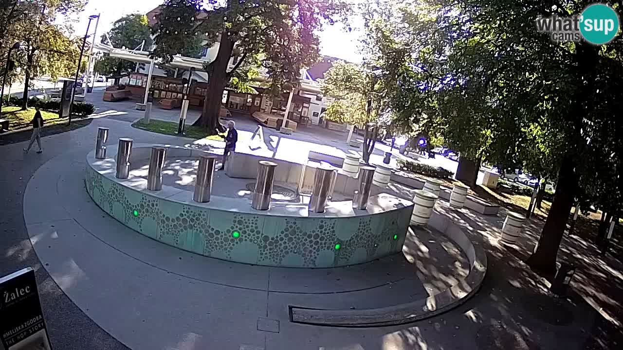 Camera en vivo Fuente de cerveza – Oro verde – Žalec