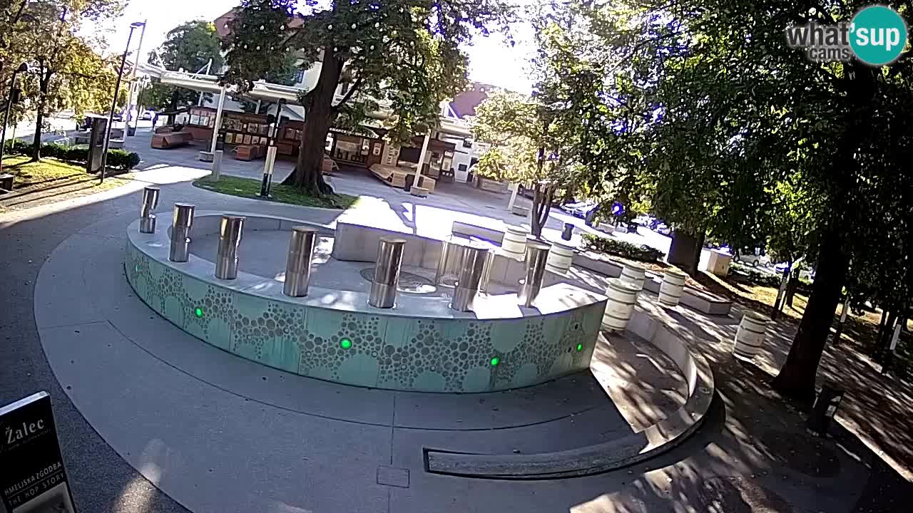 LIVEcam Beer fountain – Green Gold – Žalec – Slovenia