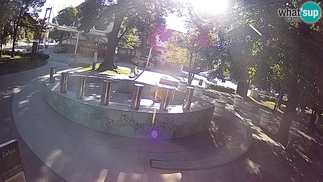 Bier-Springbrunnen Webcam Žalec – Grünen Goldes
