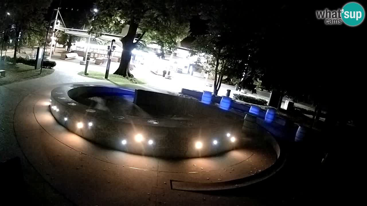 Bier-Springbrunnen Webcam Žalec – Grünen Goldes