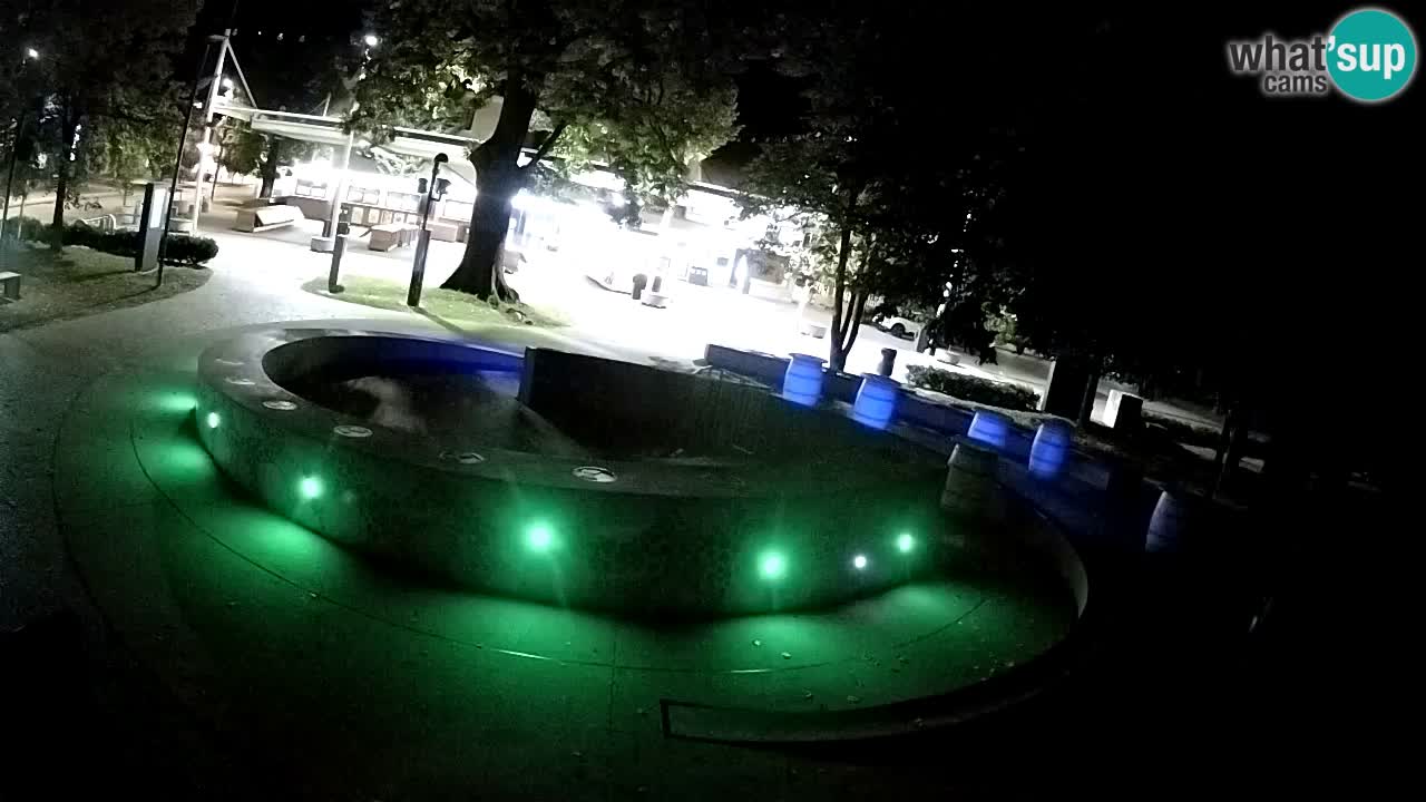 Fontana di birra Webcam – Oro verde – Žalec