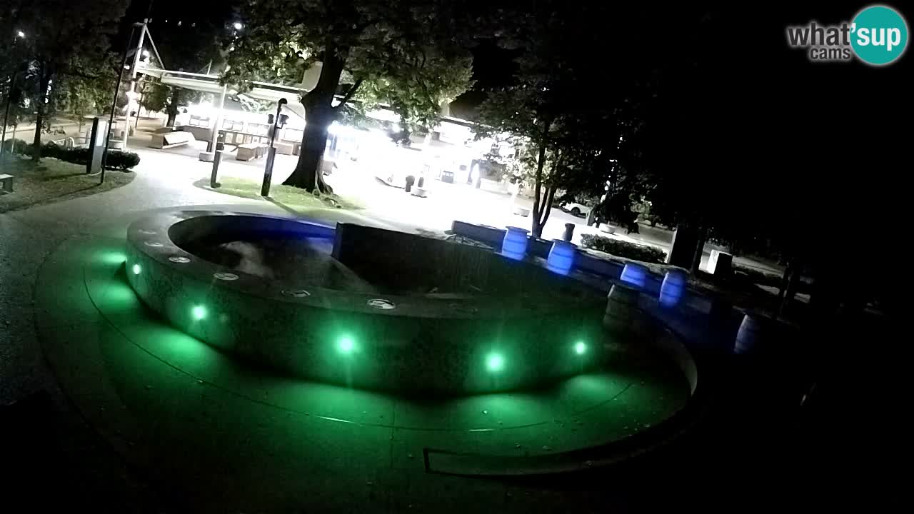 Fontaine à bière LIVE webcam – Or vert – Žalec