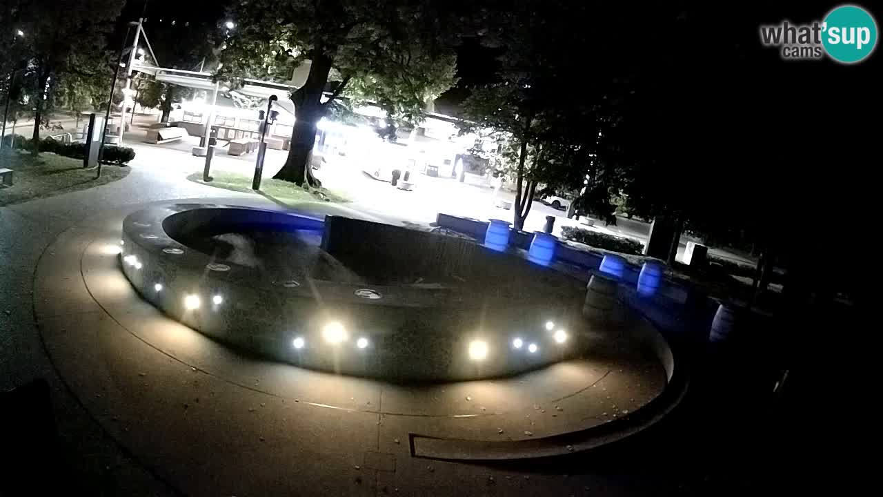 Fontana di birra Webcam – Oro verde – Žalec