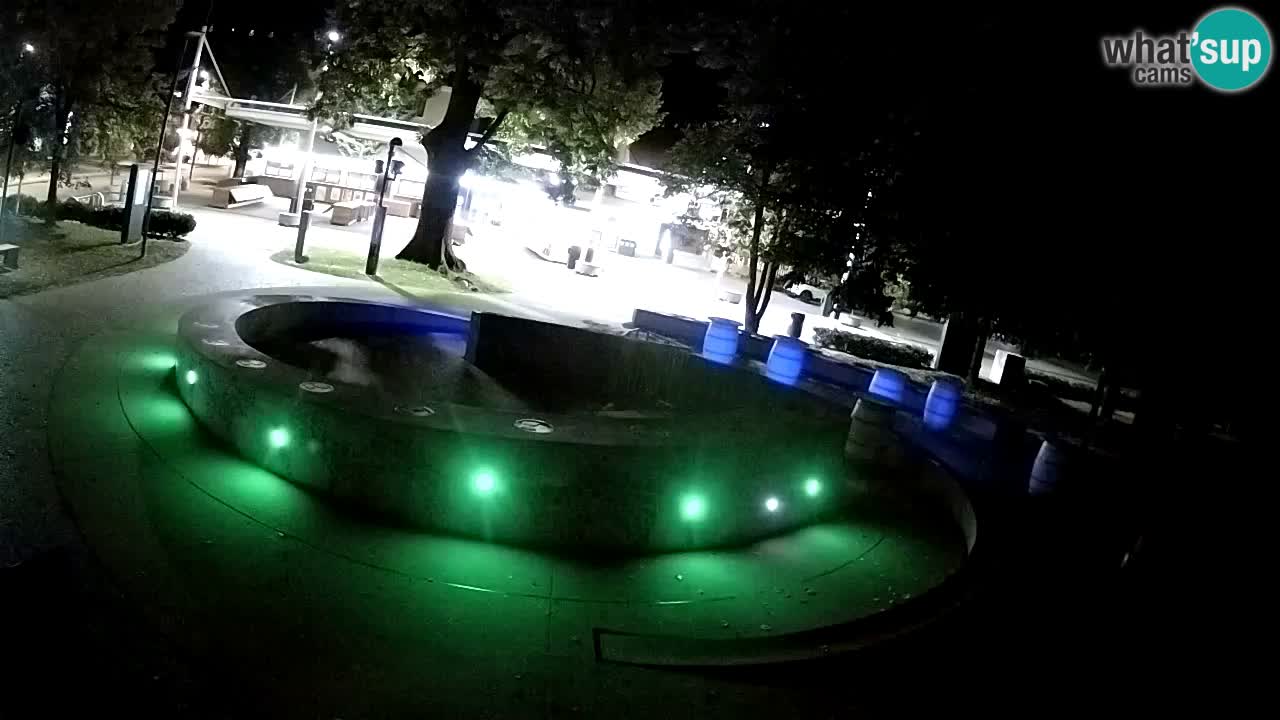 Bier-Springbrunnen Webcam Žalec – Grünen Goldes