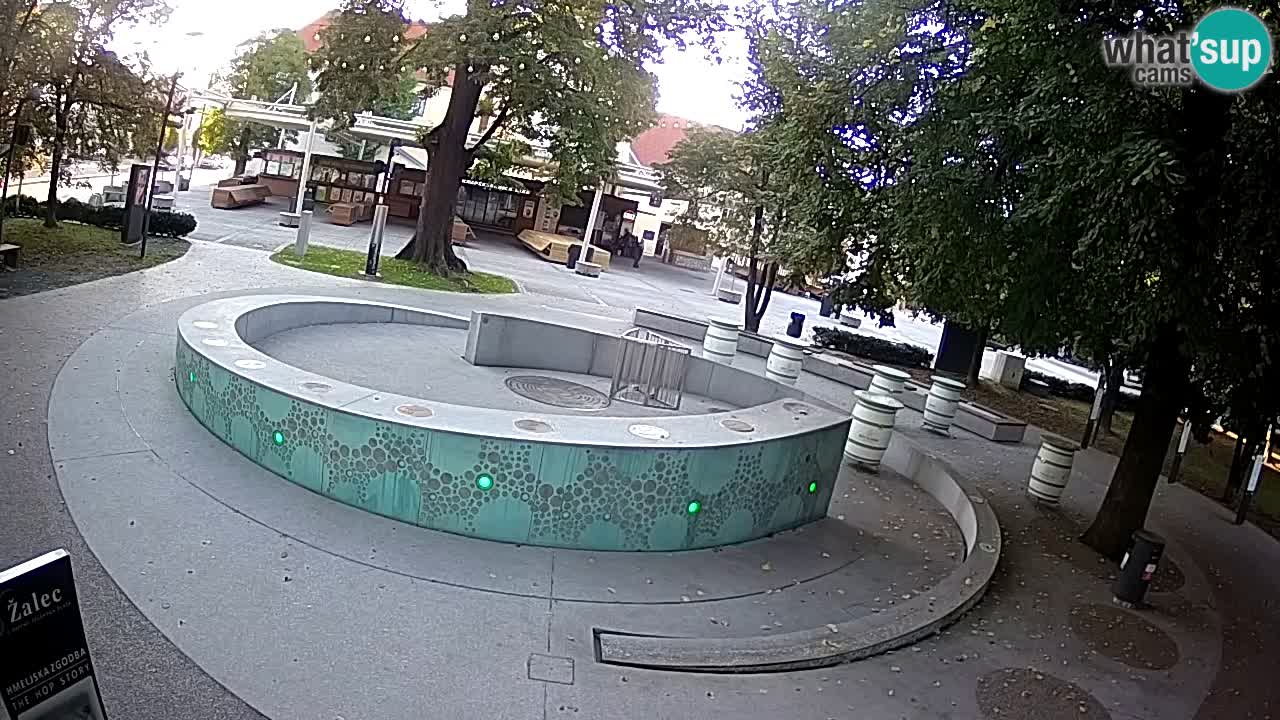 Web kamera Fontana piva – Zeleno zlato – Žalec