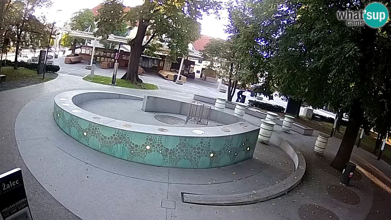 Spletna kamera Fontana Piv – Zeleno zlato Žalec