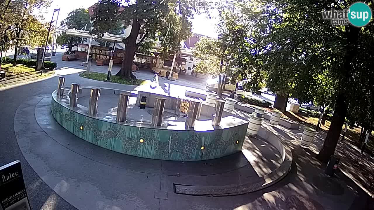 Fontaine à bière LIVE webcam – Or vert – Žalec