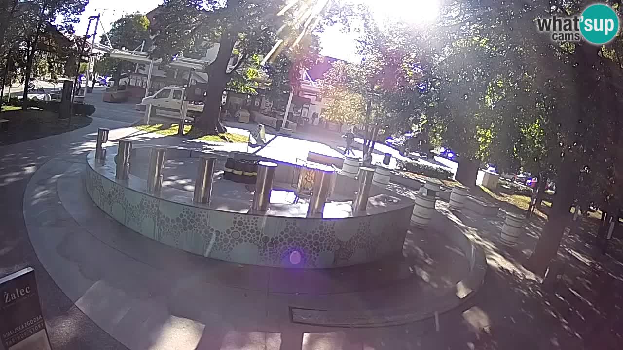 Fontana di birra Webcam – Oro verde – Žalec