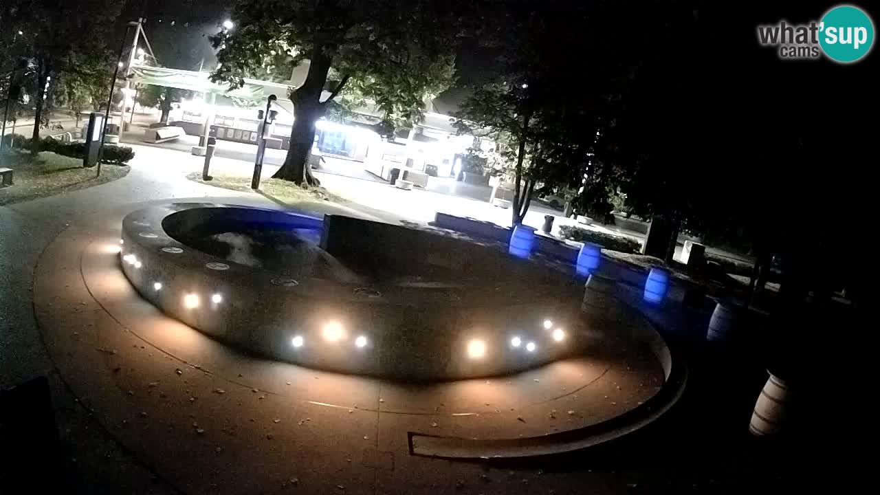 Camera en vivo Fuente de cerveza – Oro verde – Žalec