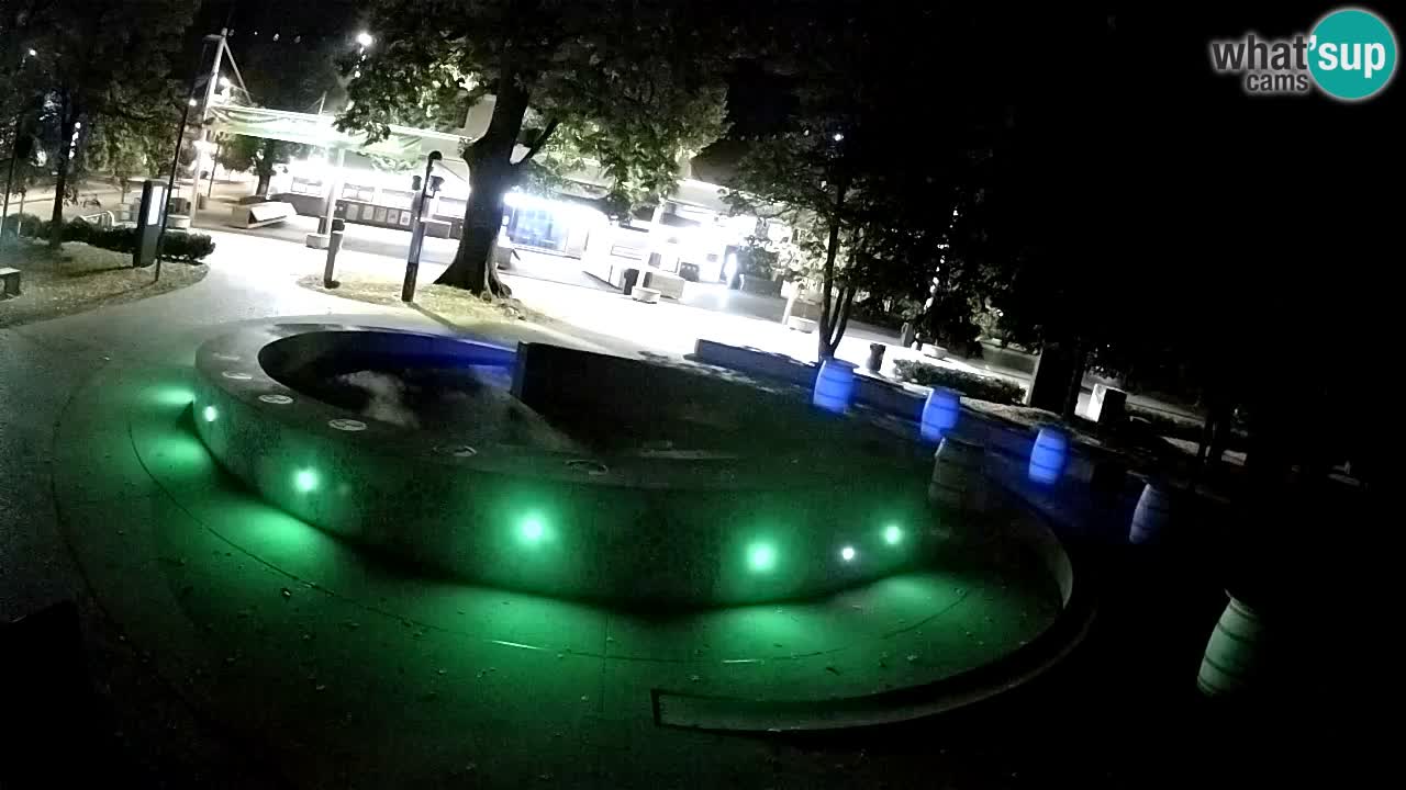 Camera en vivo Fuente de cerveza – Oro verde – Žalec