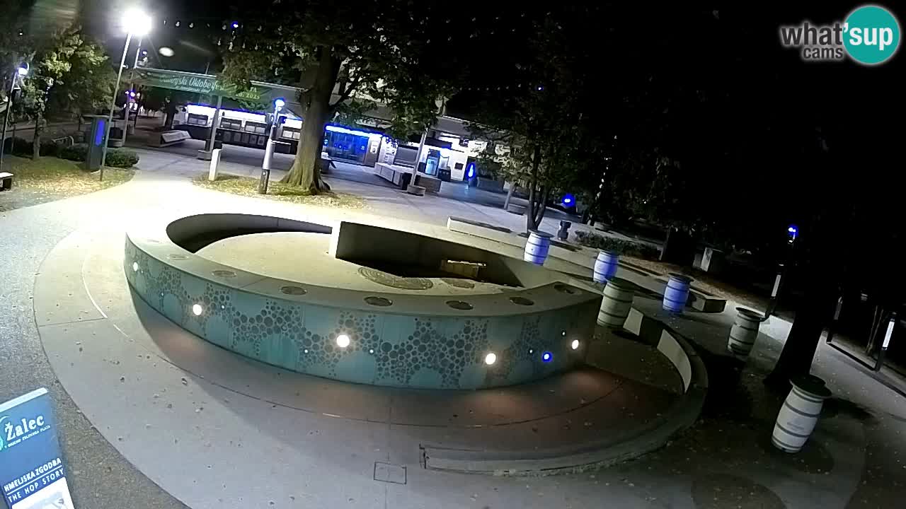 Fontaine à bière LIVE webcam – Or vert – Žalec