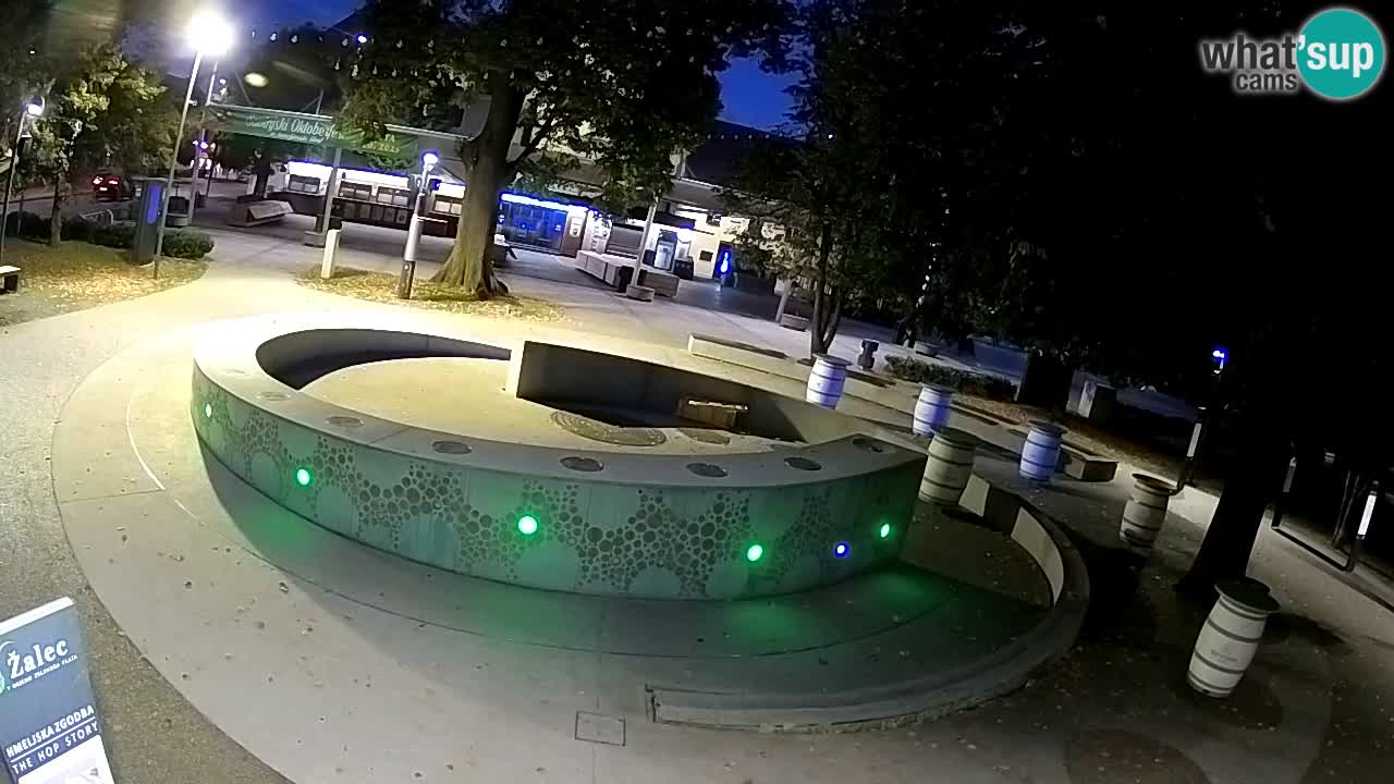 Fontana di birra Webcam – Oro verde – Žalec