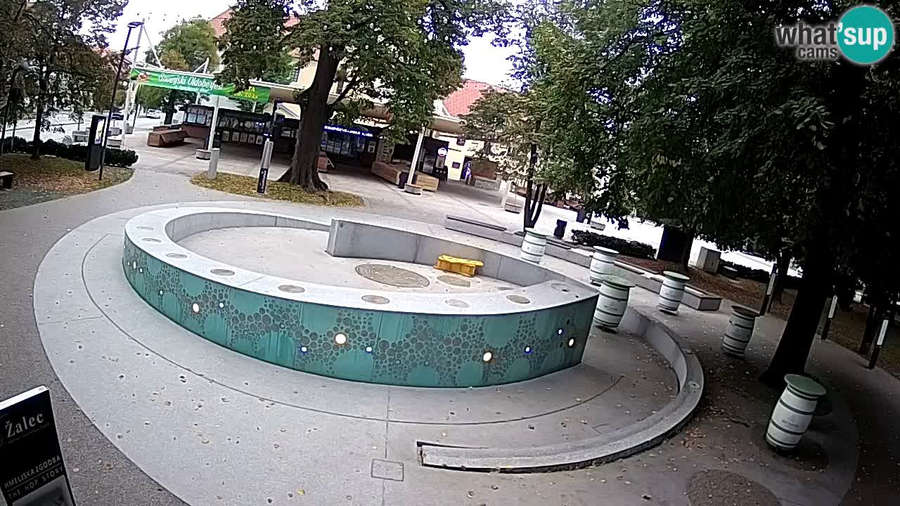 Fontana di birra Webcam – Oro verde – Žalec