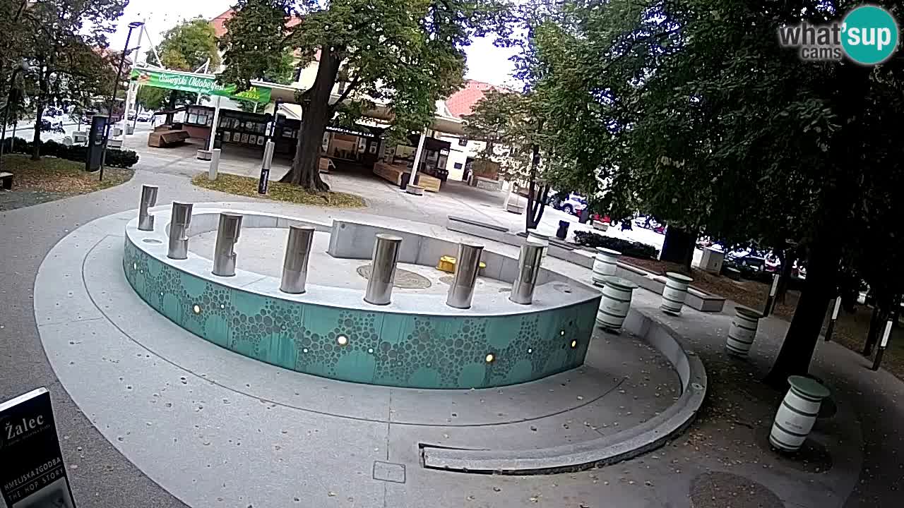 Spletna kamera Fontana Piv – Zeleno zlato Žalec