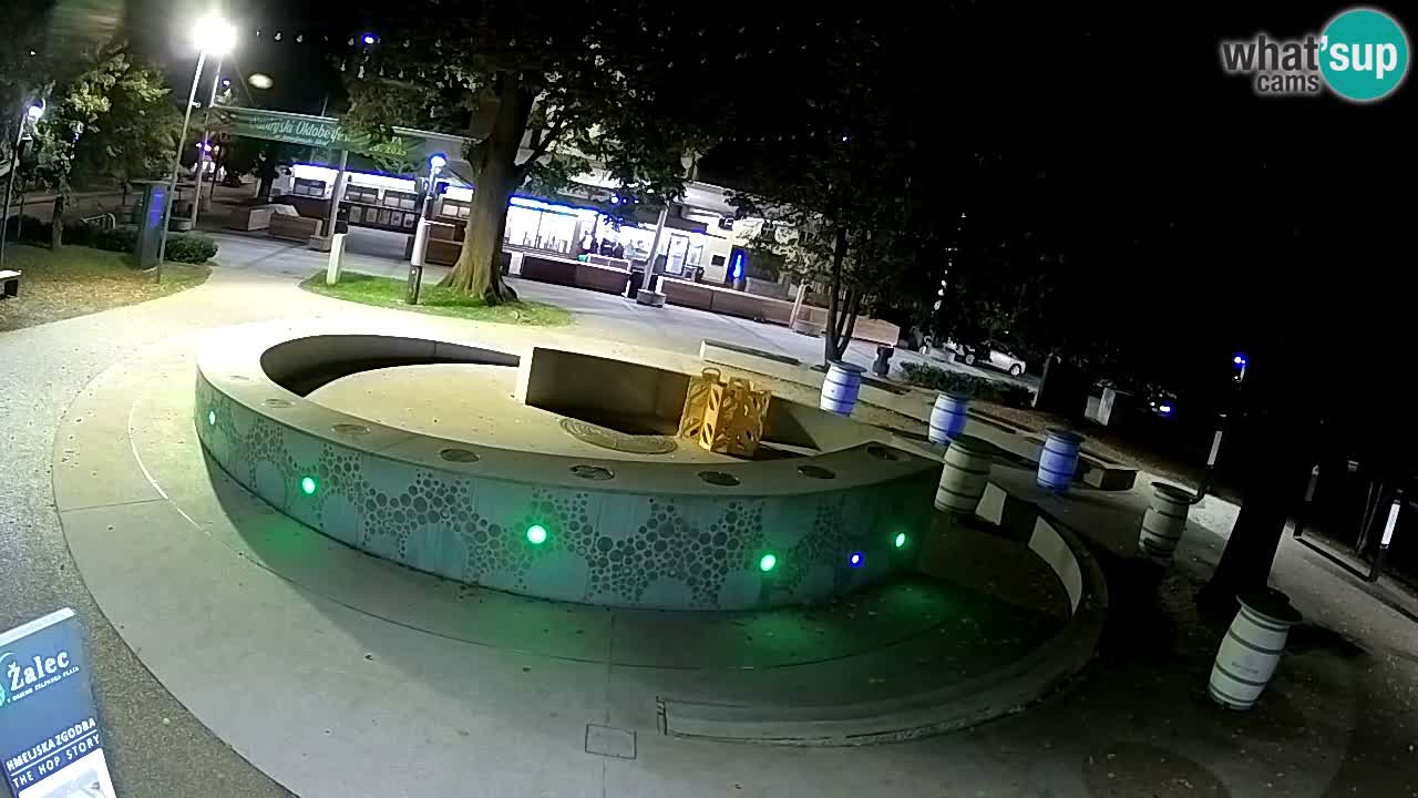Spletna kamera Fontana Piv – Zeleno zlato Žalec