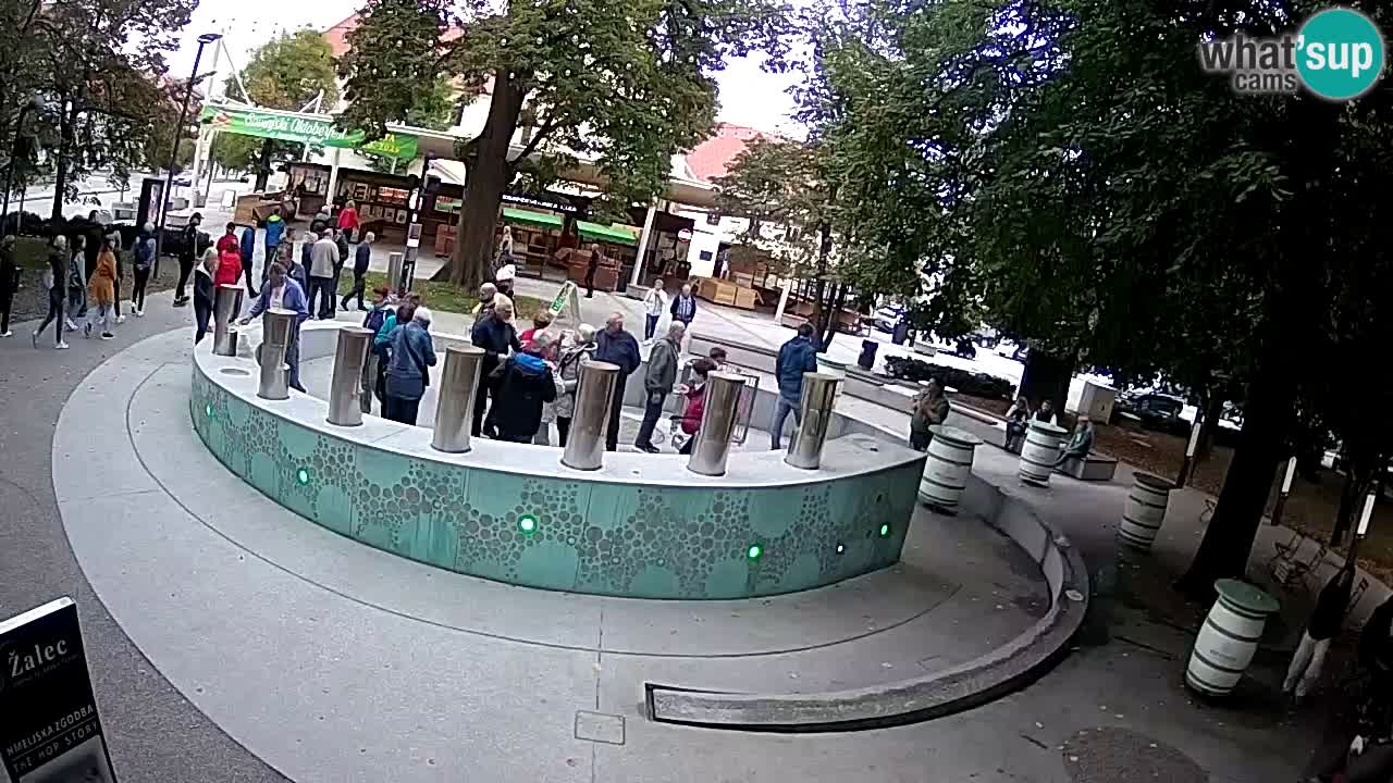 Web kamera Fontana piva – Zeleno zlato – Žalec