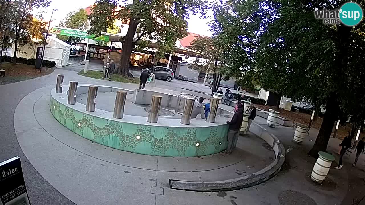 Web kamera Fontana piva – Zeleno zlato – Žalec