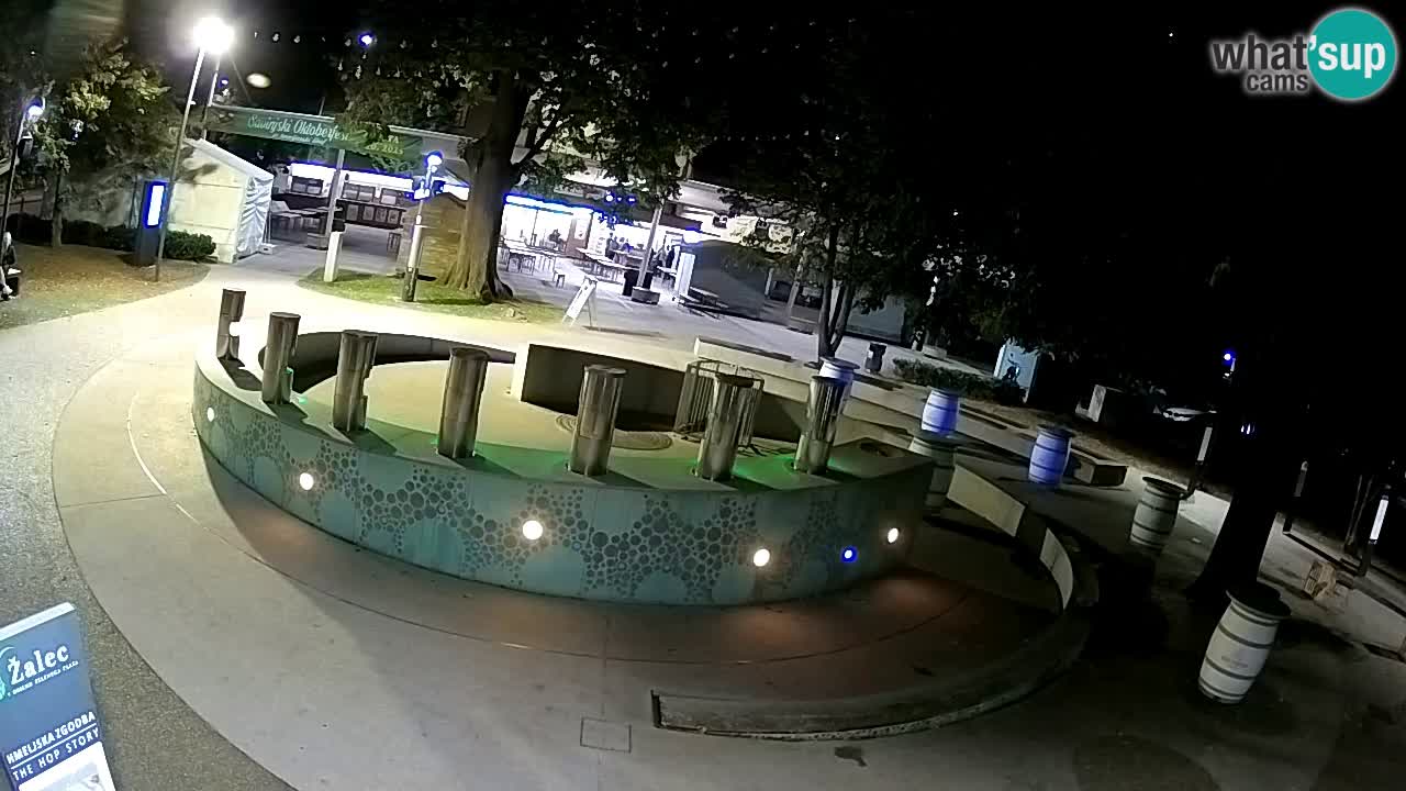 Spletna kamera Fontana Piv – Zeleno zlato Žalec