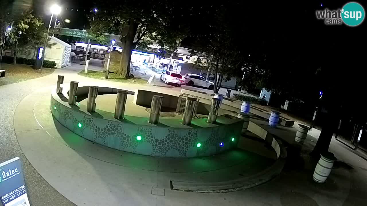 Spletna kamera Fontana Piv – Zeleno zlato Žalec