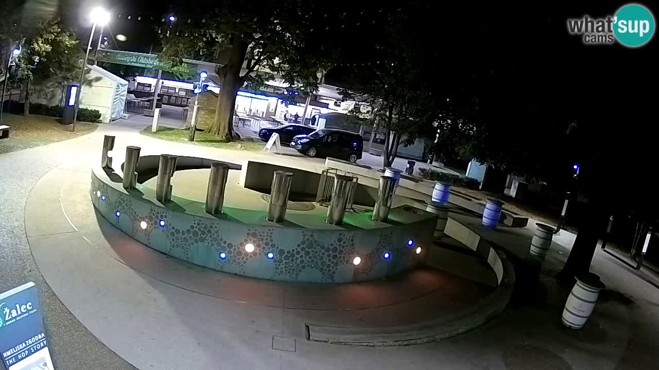 Spletna kamera Fontana Piv – Zeleno zlato Žalec