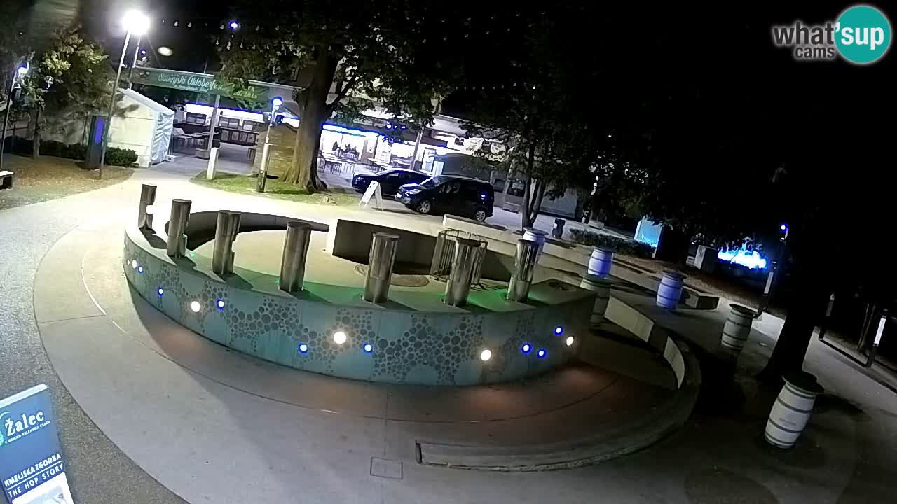 Fontana di birra Webcam – Oro verde – Žalec