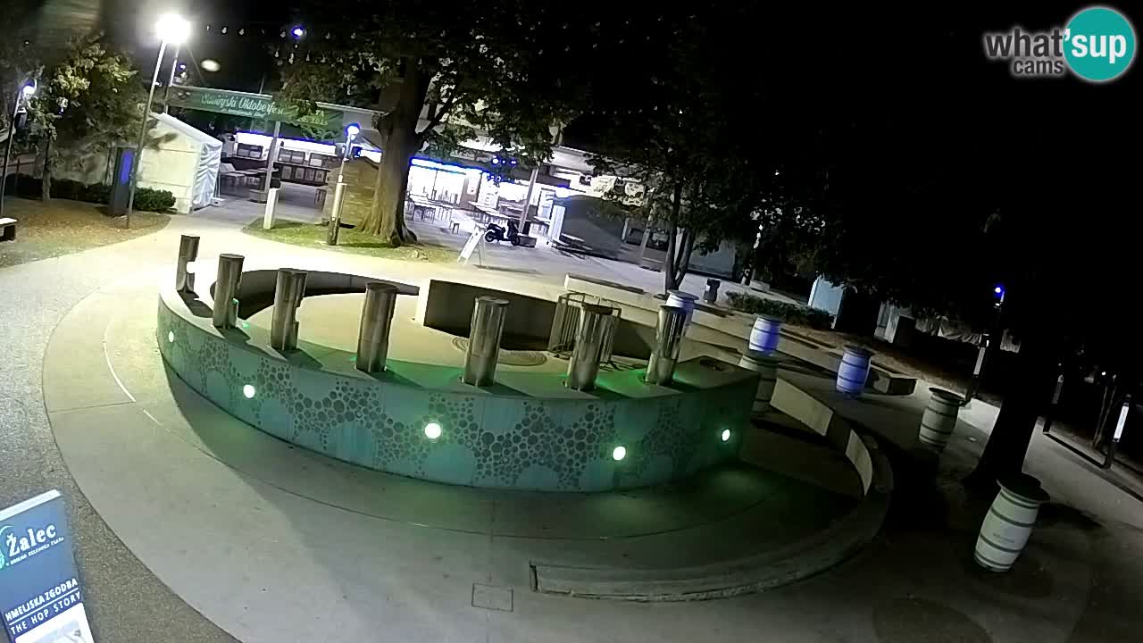 Fontana di birra Webcam – Oro verde – Žalec