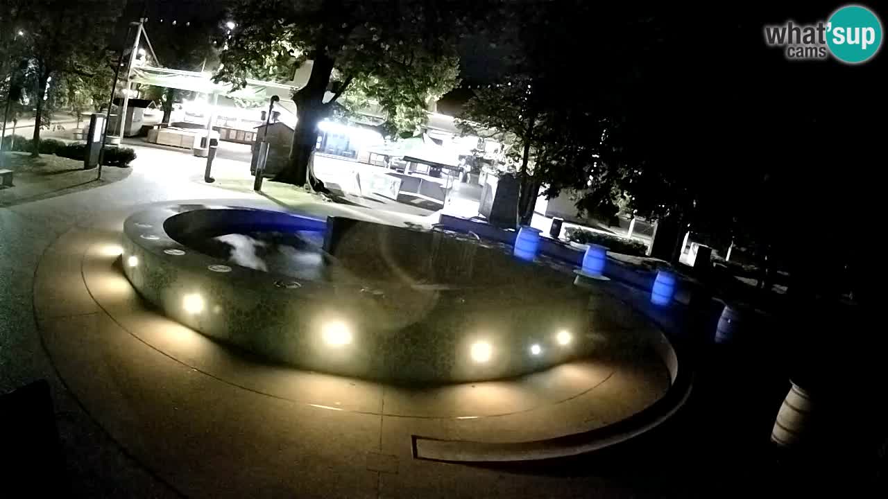 Spletna kamera Fontana Piv – Zeleno zlato Žalec
