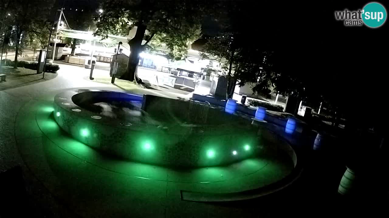Spletna kamera Fontana Piv – Zeleno zlato Žalec