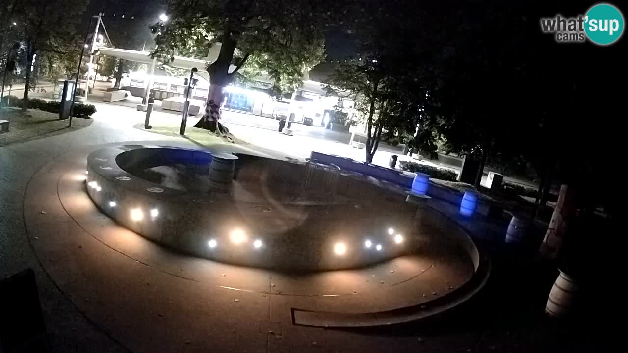 Spletna kamera Fontana Piv – Zeleno zlato Žalec