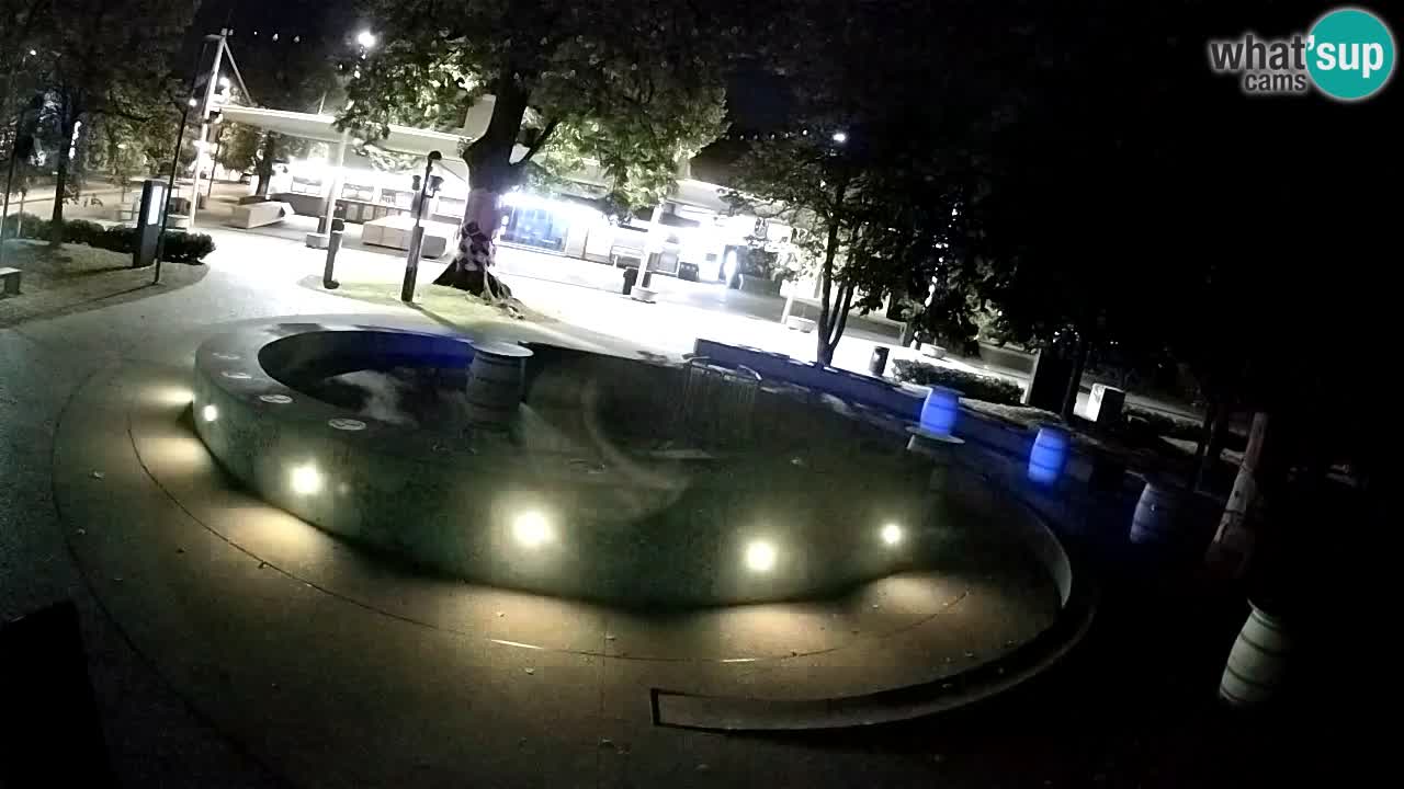 Fontana di birra Webcam – Oro verde – Žalec