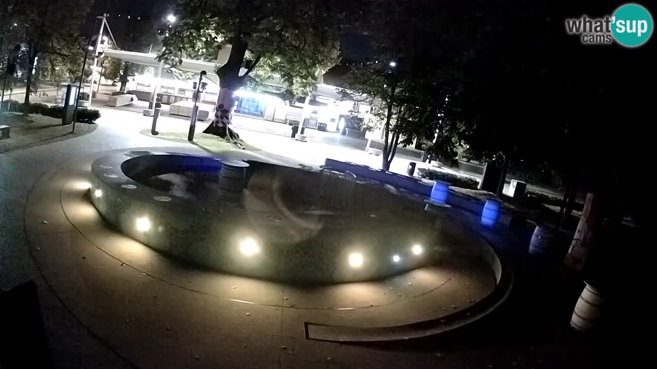 Fontana di birra Webcam – Oro verde – Žalec