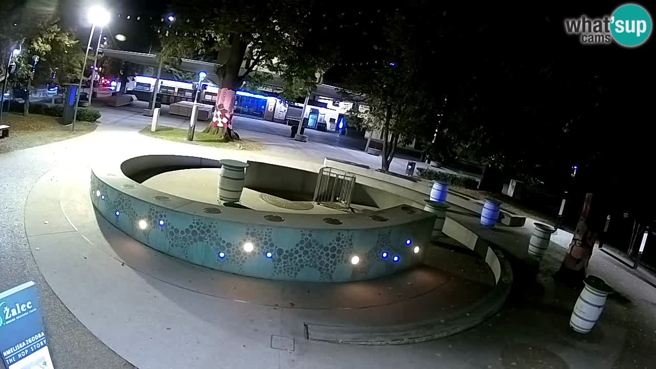 Bier-Springbrunnen Webcam Žalec – Grünen Goldes