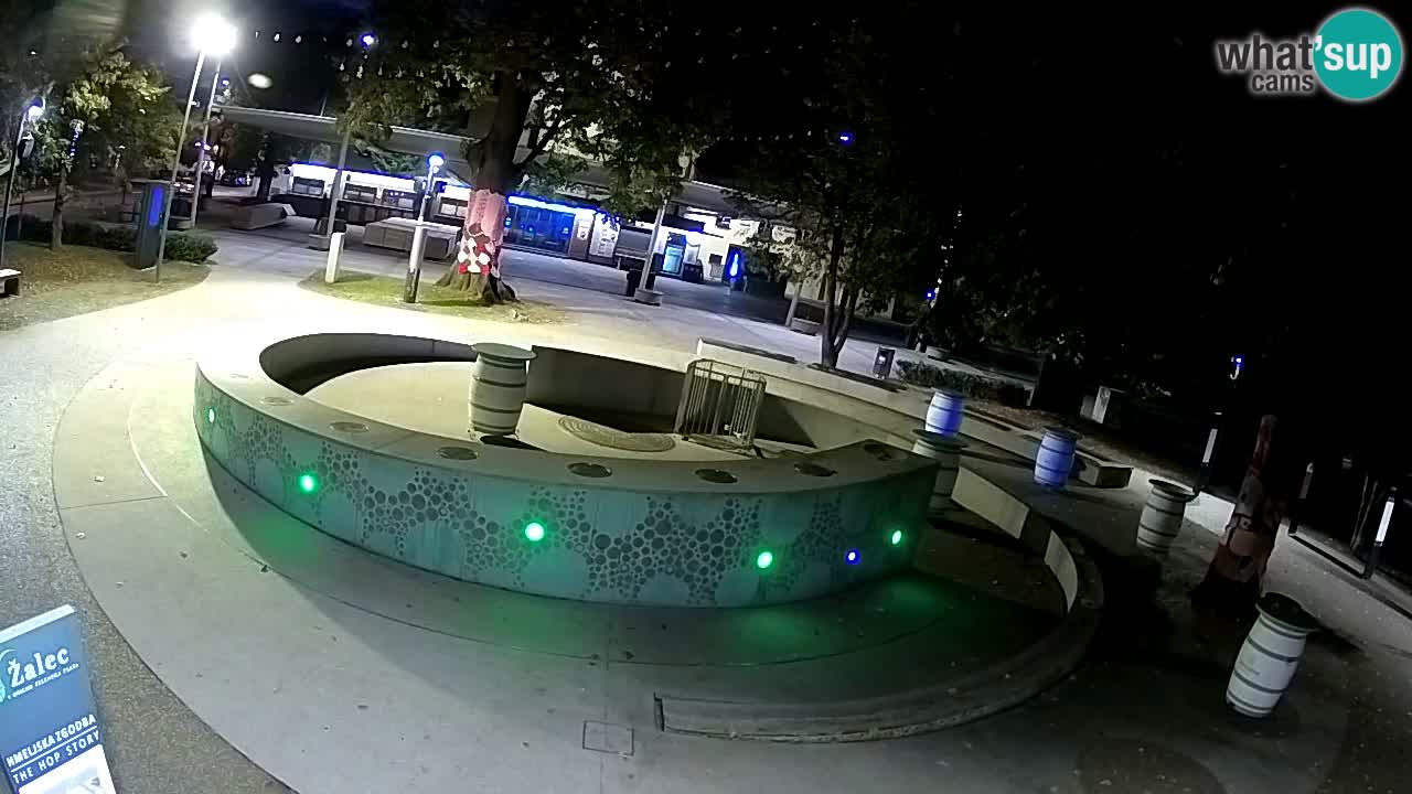 Camera en vivo Fuente de cerveza – Oro verde – Žalec