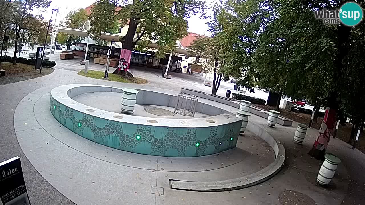 Fontana di birra Webcam – Oro verde – Žalec