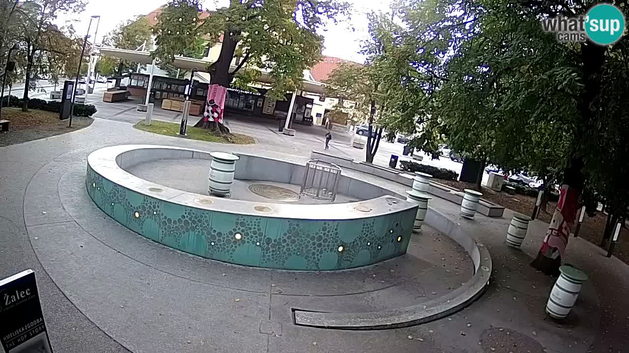 Fontaine à bière LIVE webcam – Or vert – Žalec
