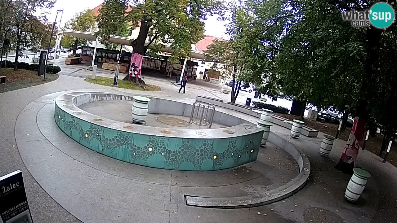 Fontana di birra Webcam – Oro verde – Žalec