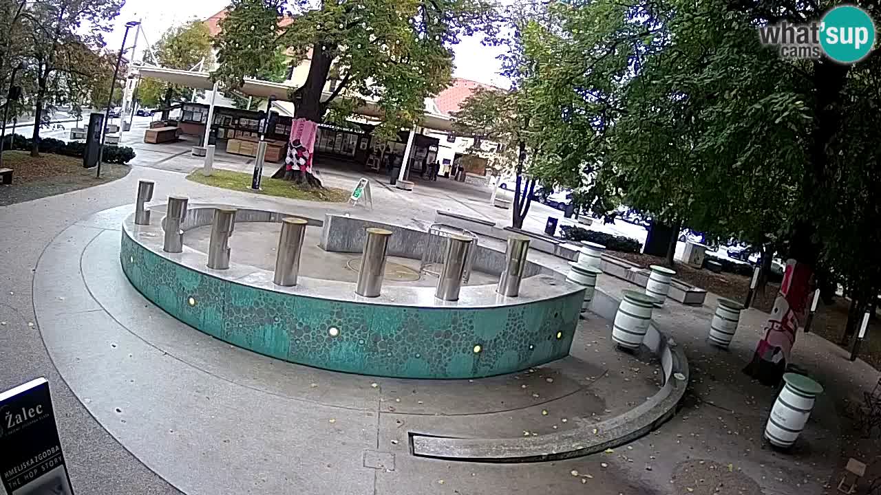 Camera en vivo Fuente de cerveza – Oro verde – Žalec