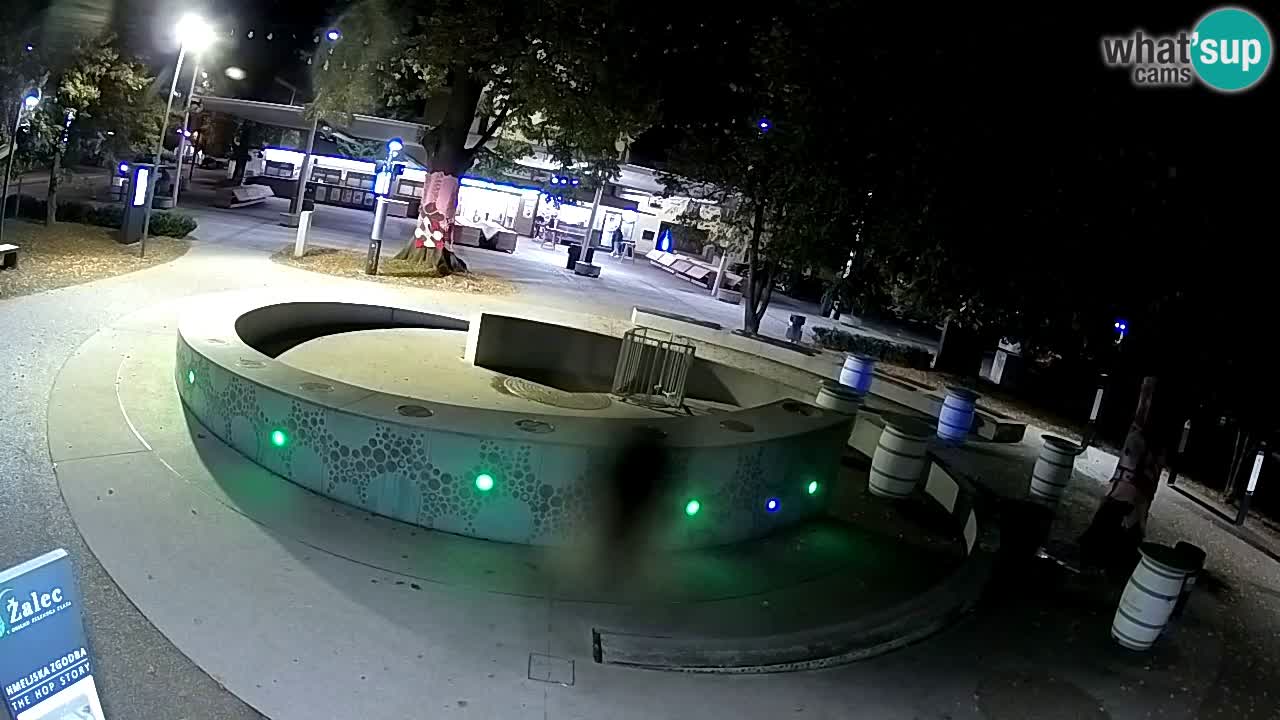 Camera en vivo Fuente de cerveza – Oro verde – Žalec