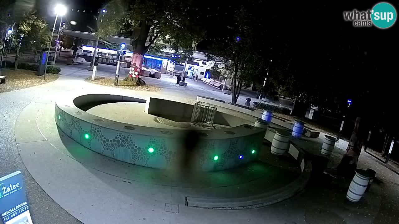 Camera en vivo Fuente de cerveza – Oro verde – Žalec