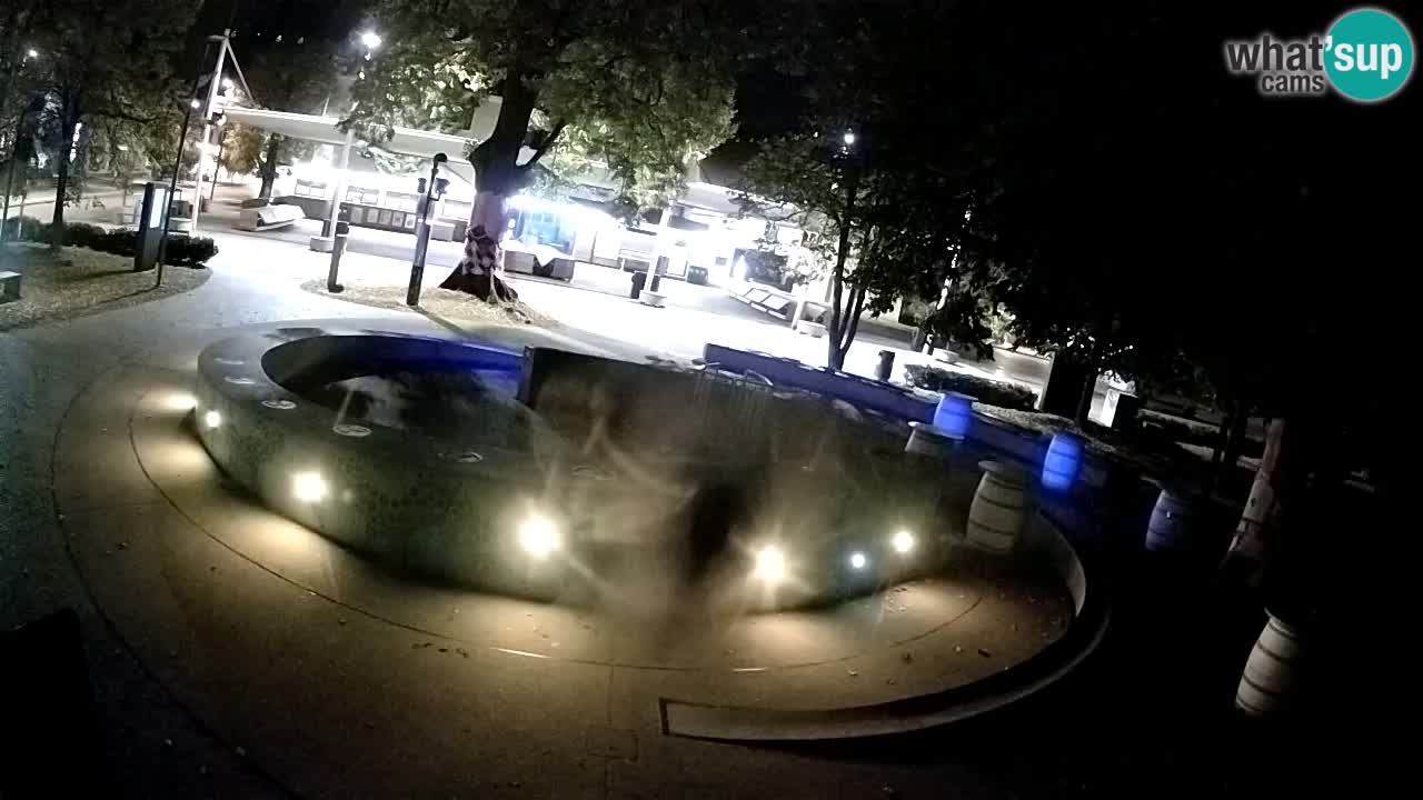Bier-Springbrunnen Webcam Žalec – Grünen Goldes