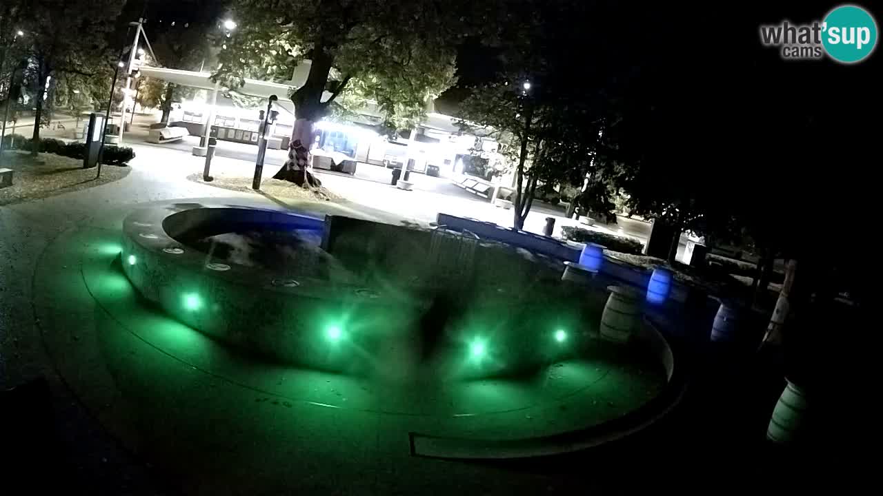 Camera en vivo Fuente de cerveza – Oro verde – Žalec