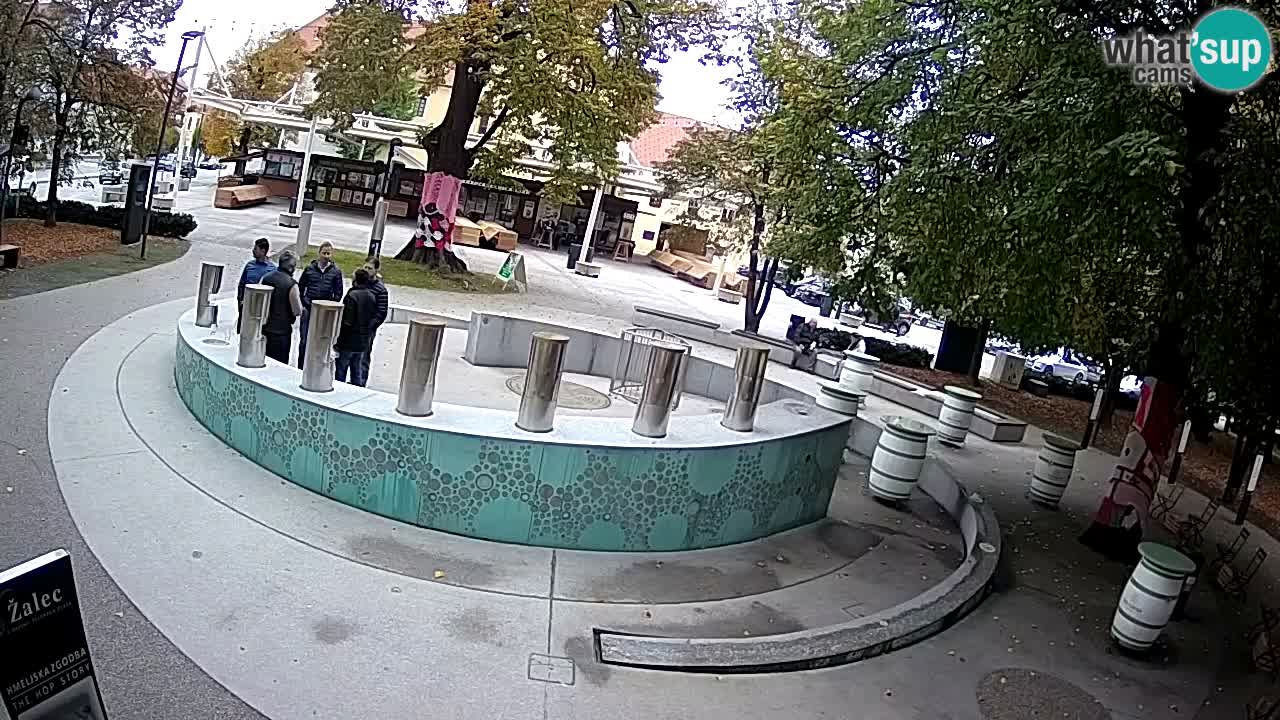 Fontana di birra Webcam – Oro verde – Žalec