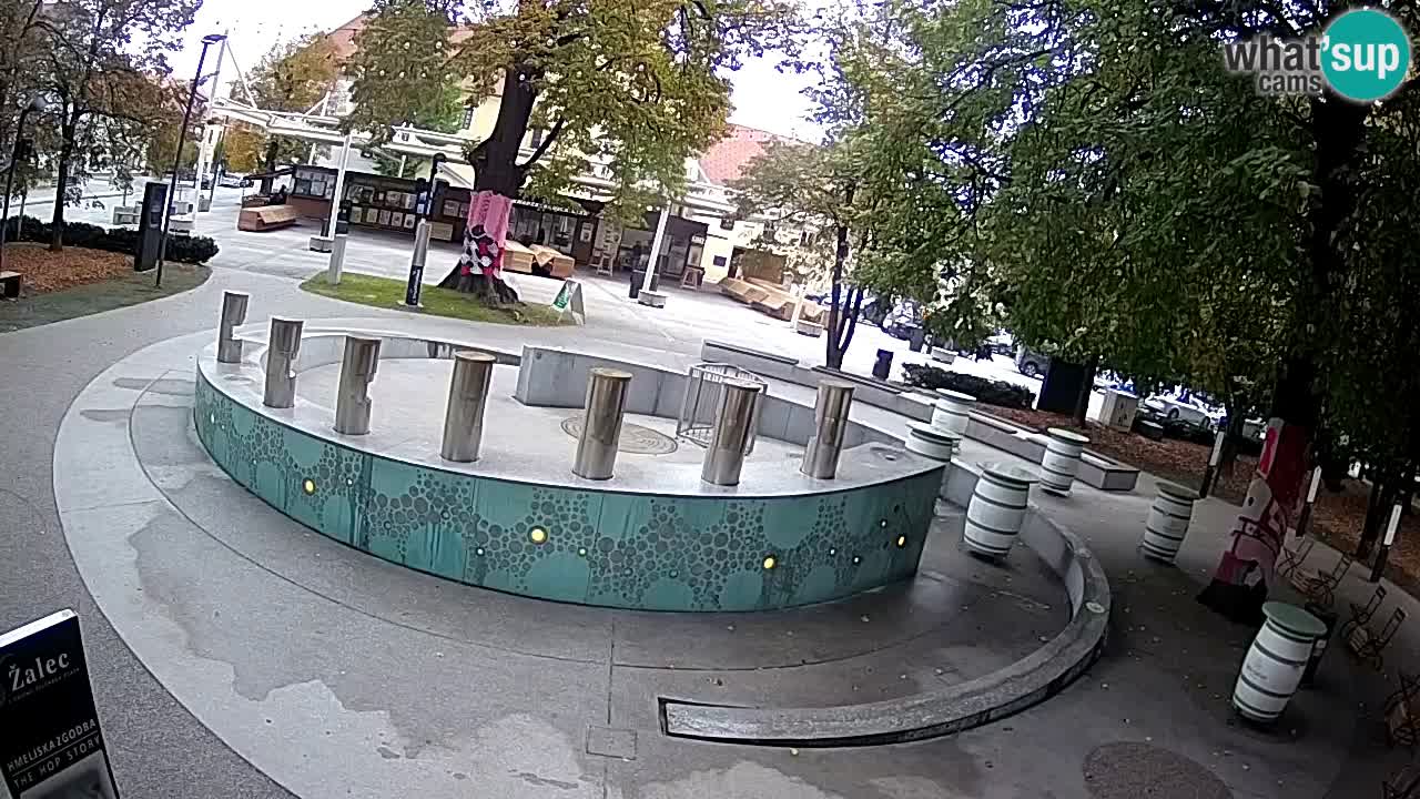 Spletna kamera Fontana Piv – Zeleno zlato Žalec