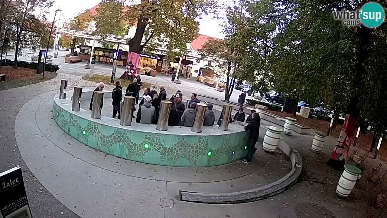 Fontana di birra Webcam – Oro verde – Žalec