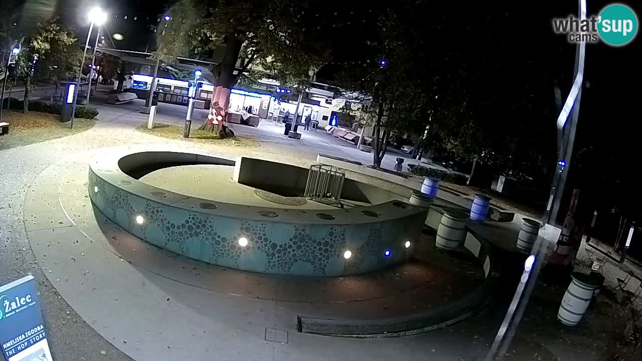 Bier-Springbrunnen Webcam Žalec – Grünen Goldes