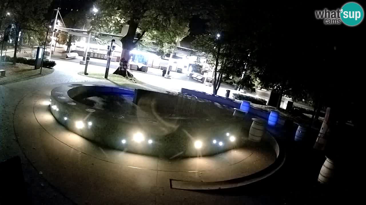 Bier-Springbrunnen Webcam Žalec – Grünen Goldes